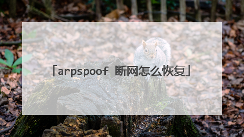 arpspoof 断网怎么恢复