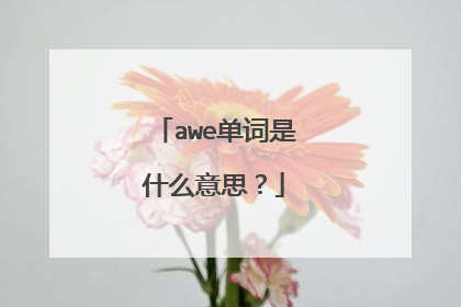 awe单词是什么意思？