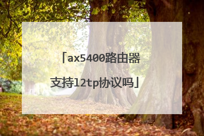 ax5400路由器支持l2tp协议吗