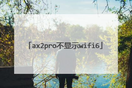 ax2pro不显示wifi6