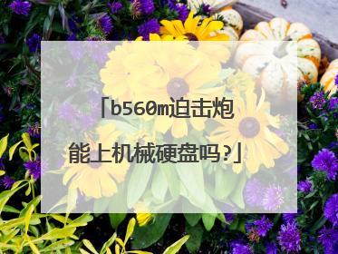 b560m迫击炮能上机械硬盘吗?