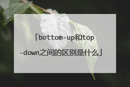bottom-up和top-down之间的区别是什么