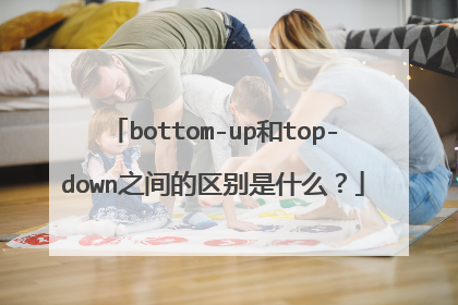 bottom-up和top-down之间的区别是什么？