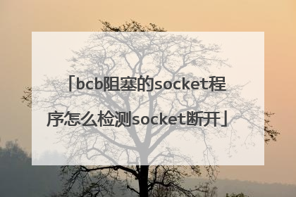 bcb阻塞的socket程序怎么检测socket断开