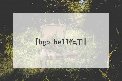 bgp hell作用