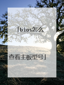 bios怎么查看主板型号