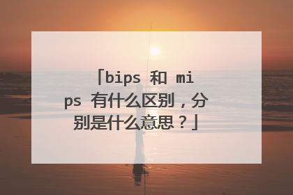 bips 和 mips 有什么区别,分别是什么意思?