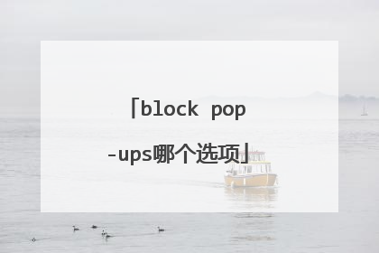 block pop-ups哪个选项