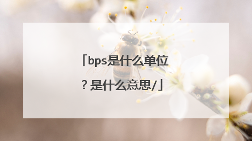 bps是什么单位?是什么意思/
