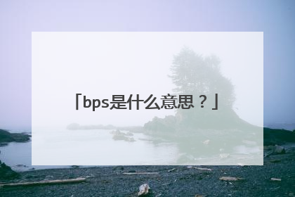 bps是什么意思?