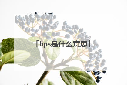 bps是什么意思