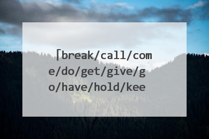 break/call/come/do/get/give/go/have/hold/keep/look/make/take/turn这些词的固定搭配
