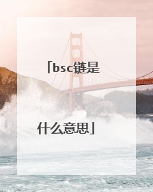 bsc链是什么意思