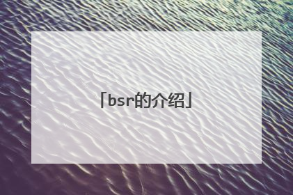 bsr的介绍