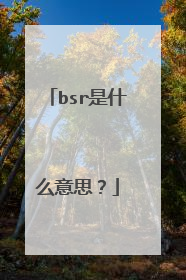 bsr是什么意思?