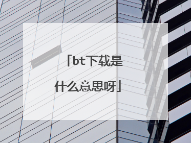 bt下载是什么意思呀