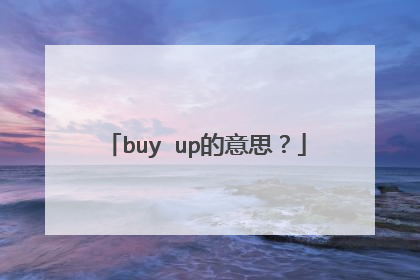 buy up的意思？