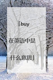 buy 在英语中是什么意思