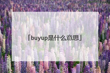buyup是什么意思