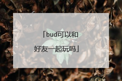 bud可以和好友一起玩吗