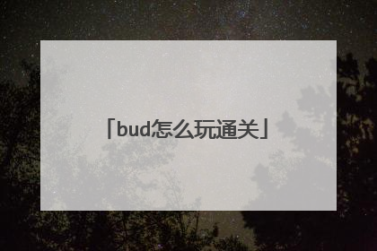 bud怎么玩通关