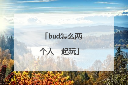 bud怎么两个人一起玩