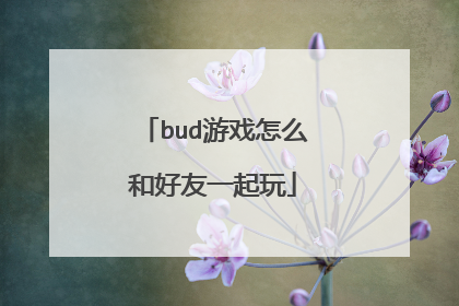 bud游戏怎么和好友一起玩