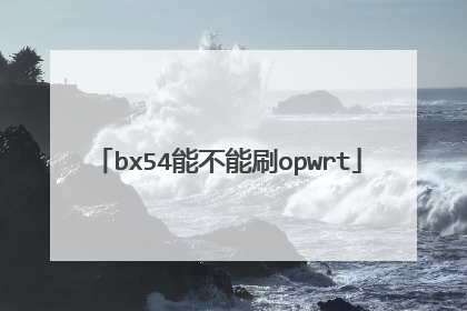 bx54能不能刷opwrt
