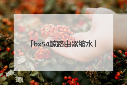 bx54鲸路由器缩水