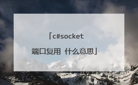c#socket 端口复用 什么意思