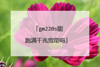 gm220s能跑满千兆宽带吗