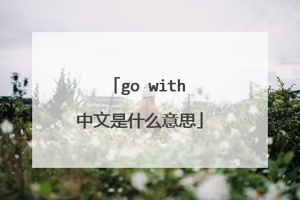 go with中文是什么意思