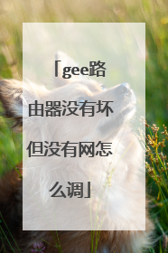 gee路由器没有坏但没有网怎么调