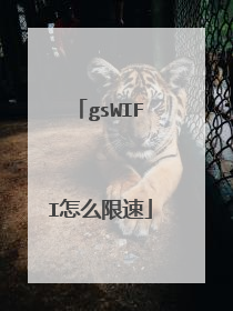 gsWIFI怎么限速