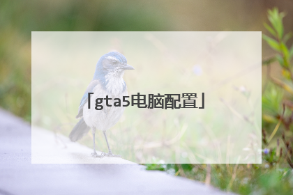 gta5电脑配置
