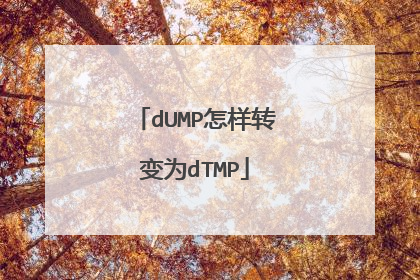 dUMP怎样转变为dTMP