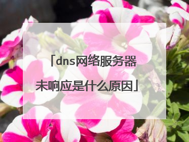 dns网络服务器未响应是什么原因