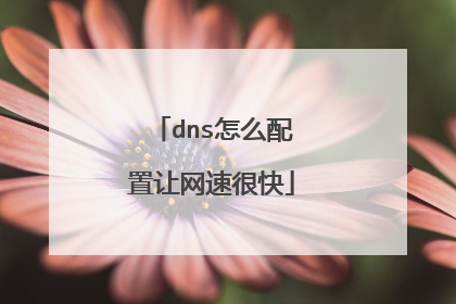 dns怎么配置让网速很快