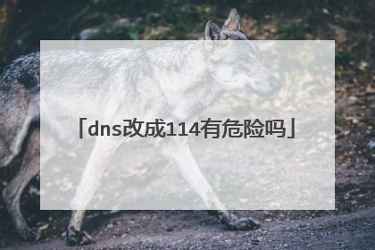 dns改成114有危险吗