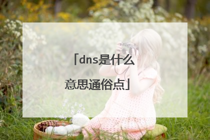 dns是什么意思通俗点