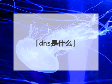 dns是什么