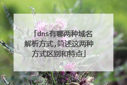 dns有哪两种域名解析方式,简述这两种方式区别和特点