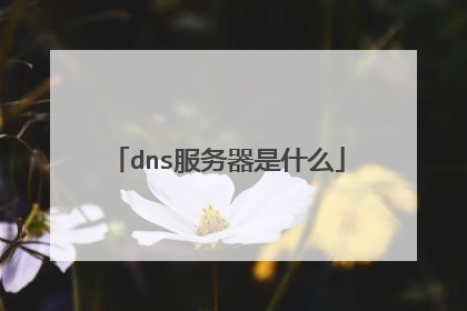 dns服务器是什么