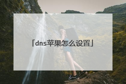 dns苹果怎么设置
