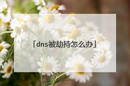 dns被劫持怎么办