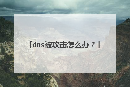 dns被攻击怎么办?