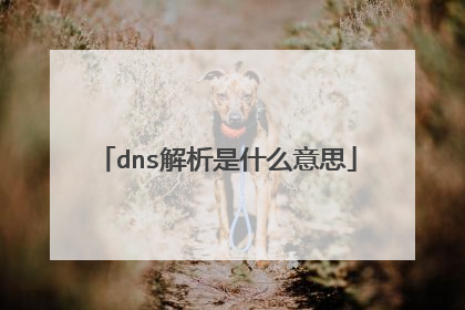 dns解析是什么意思