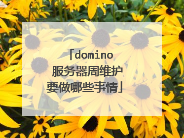 domino 服务器周维护要做哪些事情