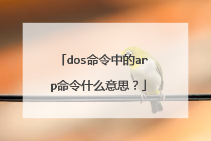 dos命令中的arp命令什么意思？