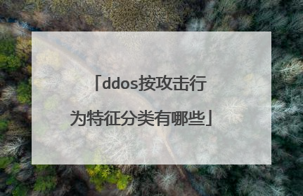 ddos按攻击行为特征分类有哪些